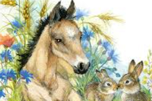 2026年第032期幽默猜测：目光